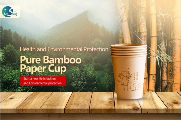 Paper Cups / Bmboo