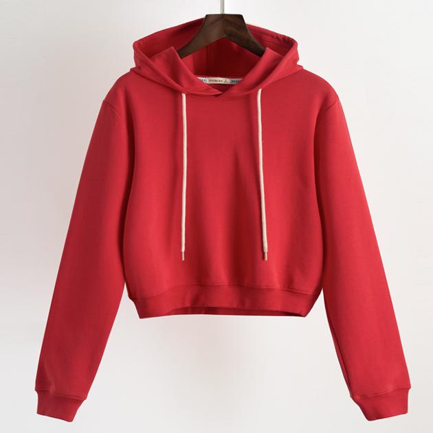 Crop Hoodie