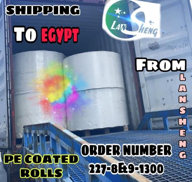 PE coated paper roll