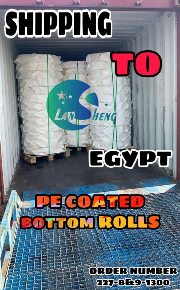 PE Coated Paper Roll