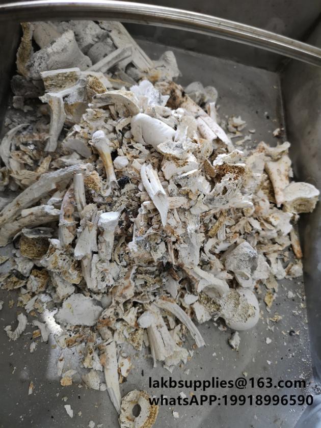 Human Pets Cremated Remains Grinder