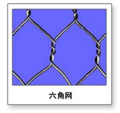 Hexagonal wire mesh