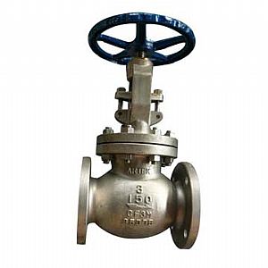Pneumatic SS Globe Valve