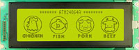LCD 240x64