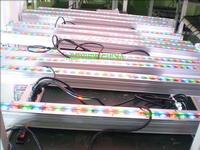LED Wall Washer
