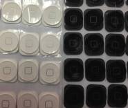 home button (black,white) for iphone5