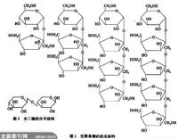Soybean oligosaccharides   CAS: 10094-58-3