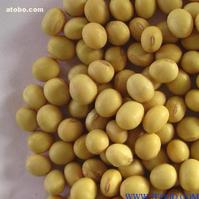 Soy isoflavone   CAS: 574-12-9