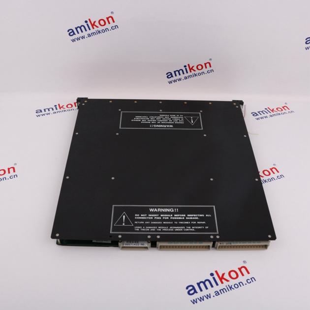 Triconex 3501E sales11@amikon.cn
