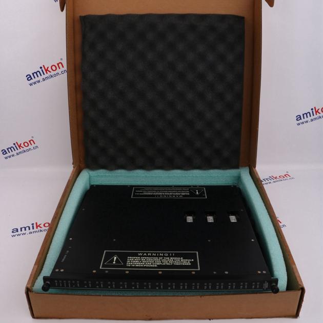 Triconex 3351 sales11@amikon.cn