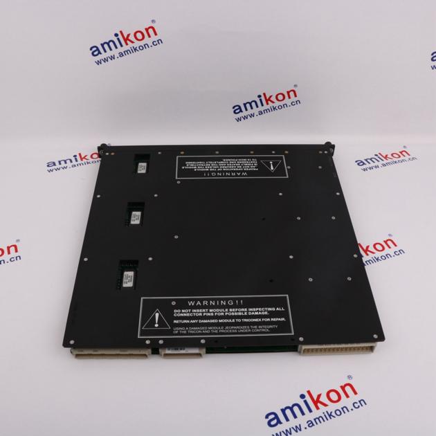 Triconex 8300A