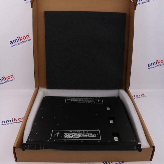 Triconex 3510 sales11@amikon.cn
