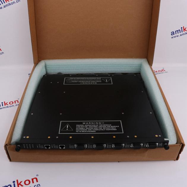 Triconex 3703E sales11@amikon.cn