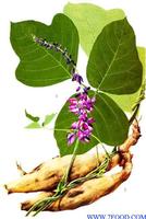 Puerarin   CAS: 3681-99-0