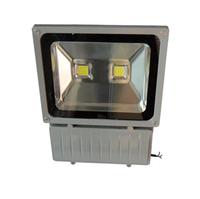 LD-FL-100W-CL1+LED Flood Light 100W