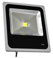 LED Flood Light LD-FL-30W-CL4