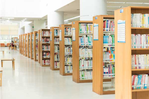 Book Display Stand