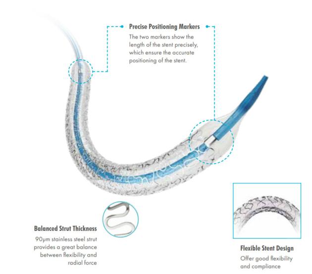 Partner¬Sirolimus-eluting Coronary Stent System