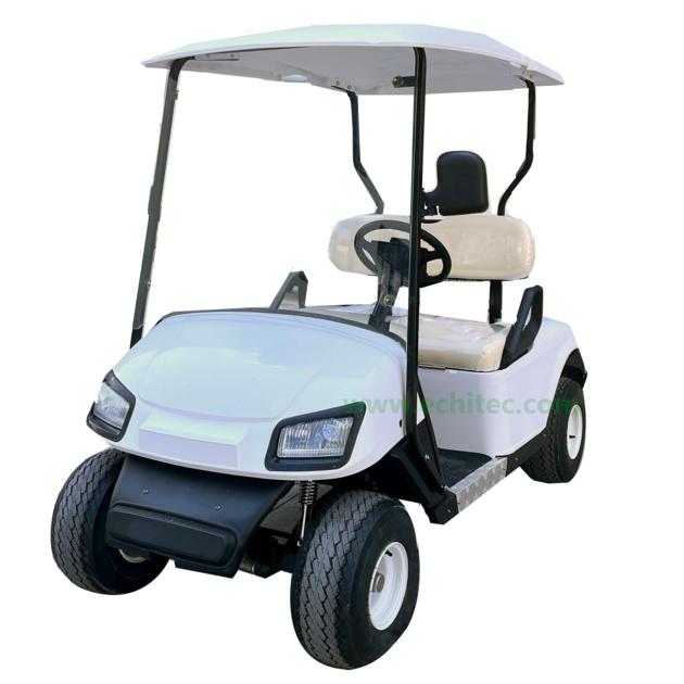 electric golf cart 2 seats