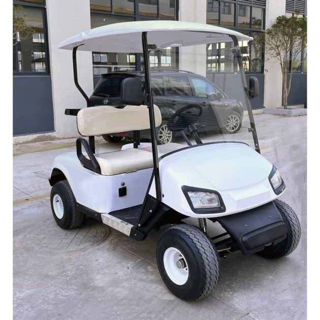 Electric Golf Cart 2 Seats