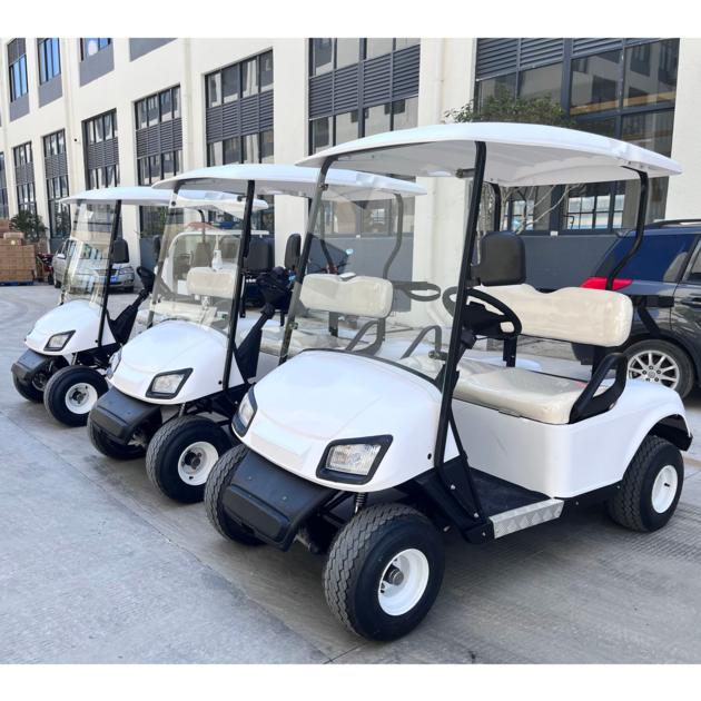 Electric Golf Cart 2 Seats