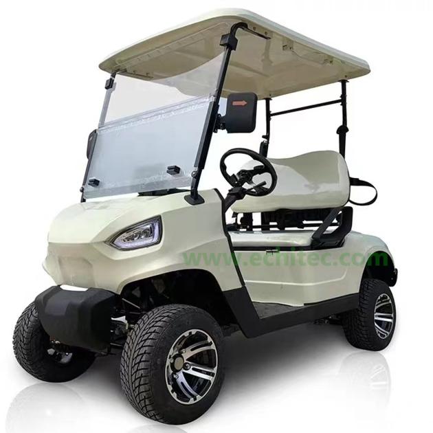 Electric golf car 2 seats