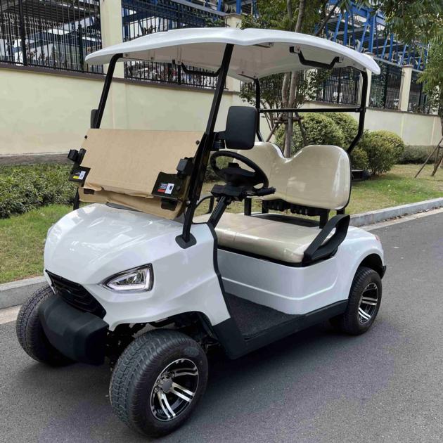 Electric Golf Car 2 Seats