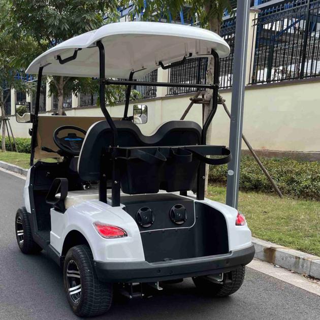 Electric Golf Car 2 Seats