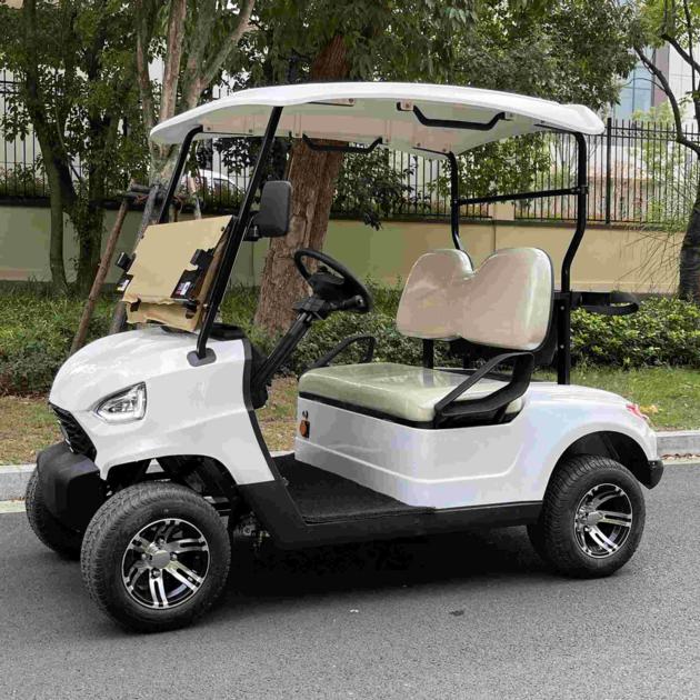 Electric Golf Car 2 Seats