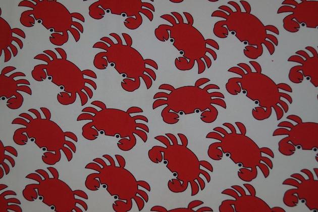 LMN045 underwear fabric