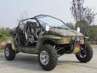 800cc dune buggy