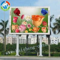 LED Display Screen P12.5
