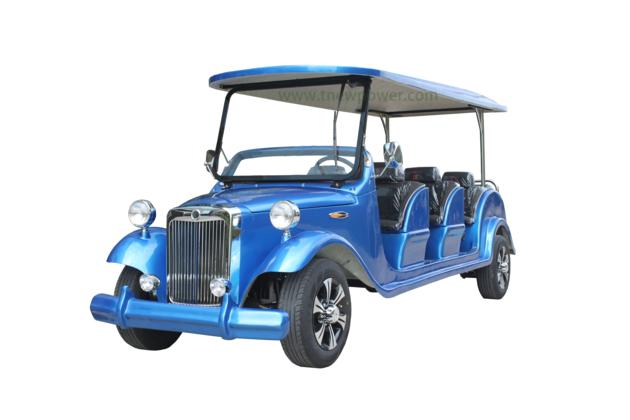 Custom Golf Cart