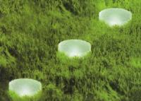 solar light LED Garden Glow Rock Light