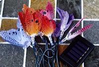 solar string light set