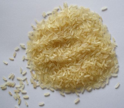 Rice