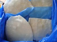 IQF squid fillet