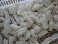 IQF squid carving