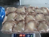 Frozen squid wing