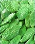 cactus extract(sales6 at lgberry dot com dot cn)