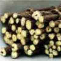 licorice extract