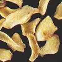 lilium pumilum P.E.