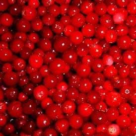 lingonberry extract