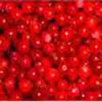 lingonberry extract