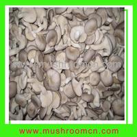 Fungus (fresh oyster mushroom)