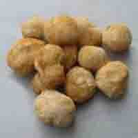 Monkey-Head Mushroom extract