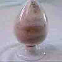 platycodon grandiflorus P.E.