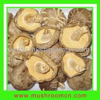Shiitake Mushroom