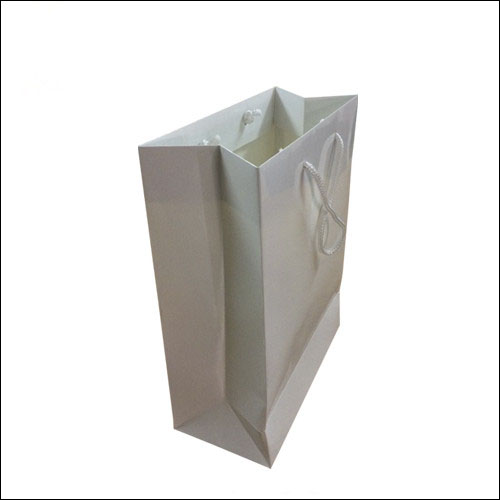 Luxury Paper Gift Bag