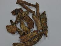 High quality Rhodiola rosea/ Crenulata extract